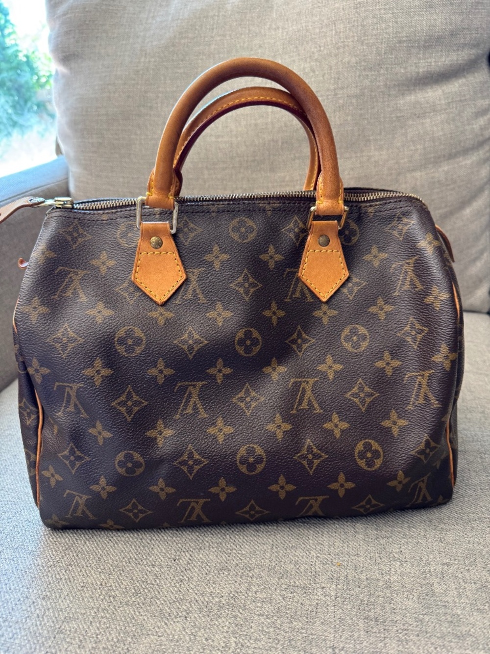 Louis Vuitton Speedy 30 Monogram Canvas